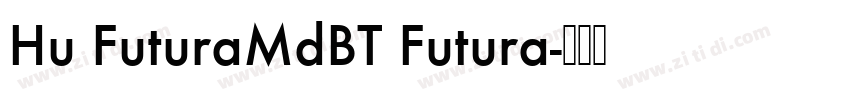 Hu FuturaMdBT Futura字体转换